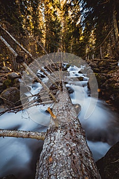 Streaming waterfall in forest