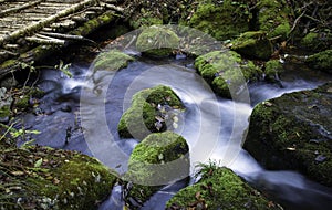 Streamlet and bridge