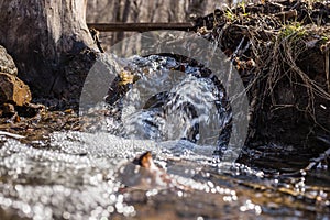 A streamlet in the forest, a bridge over the stream.