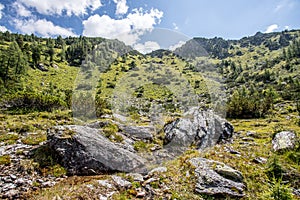 Streamlet in idyllic mountain landscape