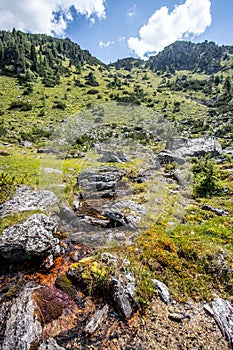 Streamlet in idyllic mountain landscape