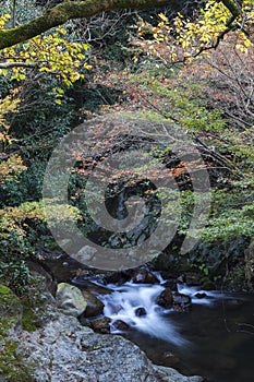 Streamlet with overflowing water from Minoh (Mino-o) waterfall photo