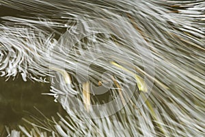 Streamlines in flowing river photo