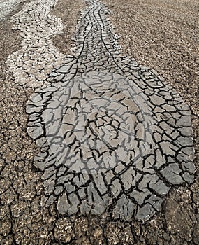 Streams of cracked mud from a mud volcano