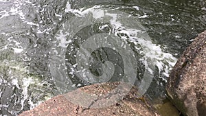 Streams of water flow through concrete sewers. Polluted body of water in the park. Close-up shot