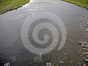Streams of water in a small river. The flow of