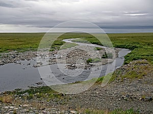 Streams of water in a small river. The flow of