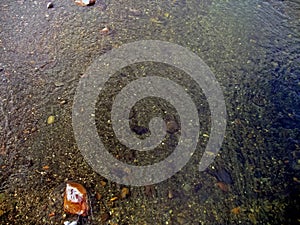 Streams of water in a small river. The flow of