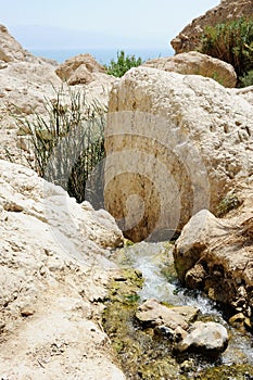 Streams and waterfalls Nature Reserve Ein Gedi