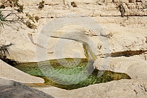 Streams and waterfalls Nature Reserve Ein Gedi