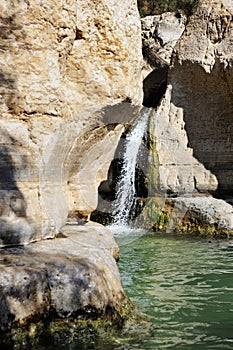 Streams and waterfalls Nature Reserve Ein Gedi