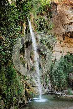 Streams and waterfalls Nature Reserve Ein Gedi