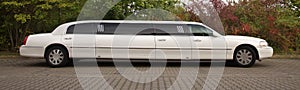 Strech limousine in white