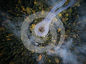 Street from above trough a misty forest at autumn, aerial view flying through the clouds with fog and trees