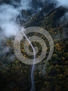 Street from above trough a misty forest at autumn, aerial view flying through the clouds with fog and trees