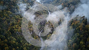 Street from above trough a misty forest at autumn, aerial view flying through the clouds with fog and trees