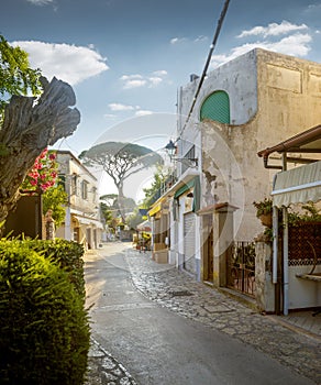 Street of Anacapri town on Capri island in Italy photo