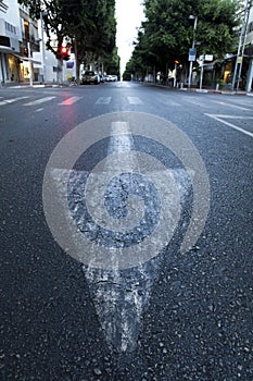 Street Arrow & Crosswalk