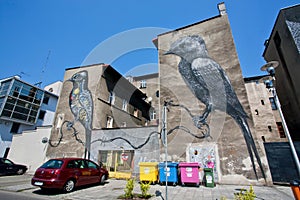 Street art pictures with two colorful birds on the fronts of the modern buildings