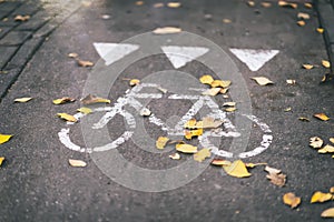 Street autumn path in the city, leaf fall, leaves on the sidewalk, bicycle, road sign