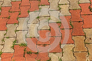 Street background of old paving stone. Background of old cobblestone pavement close-up. Old paving tiles, green grass growing