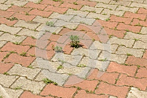Street background of old paving stone. Background of old cobblestone pavement close-up. Old paving tiles, green grass growing