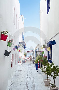 A street in Bodrum / Turkey