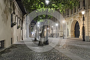 Street in Bucharest - Night scene