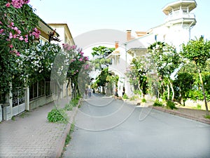 Street in Buyukada, Istanbul