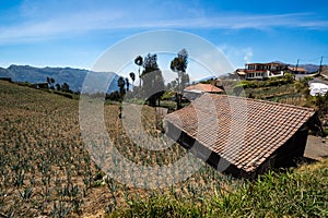 Street of Cemoro Lawang