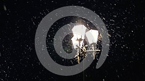 Street city lights illuminate the slowly falling snow. Night winter street lamp with falling snow. Beautiful snowfall