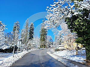 street in city Maribor. Winter season. Snow in Slovenia