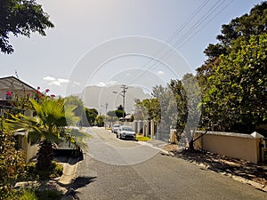 Street in Claremont, Cape Town, South Africa. Sunny weather