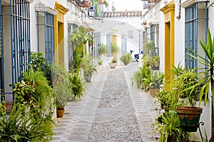 Street of Cordoba photo