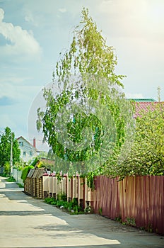 Street with country houses. Summer landscape. Vertical photography