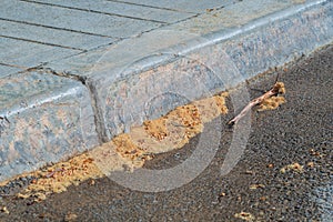 A street curb of a paved sidewalk, next to which many dried faded inflorescences of eucalyptus trees have accumulated