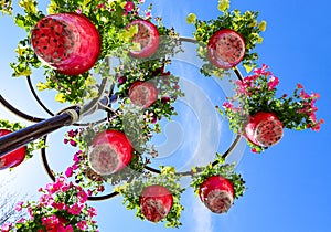 Street decor. Flowers in a pot