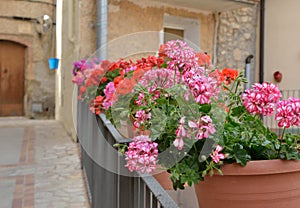 Street decorated with flowers in the pots photo