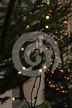 street decoration for christmas and new year, christmas tree with lights, macro, blurred background, selective focus