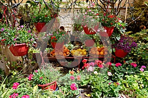 The street decoration with flowers and fruits