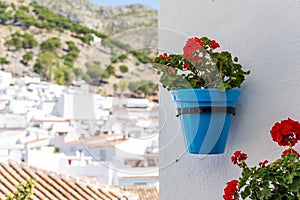 Street decoration in Mijas