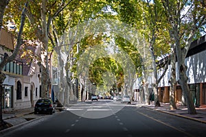 Street in downtown Mendoza - Mendoza, Argentina