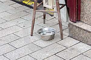 Street drinker for homeless animals, dog and cat feeder for hot weather in the city, animal care and grooming. photo