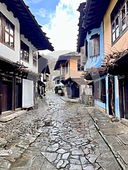 Street in ethnographic museum Etar