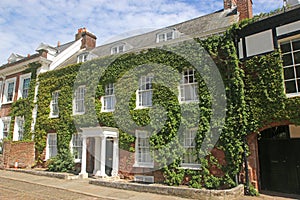 Street in Exeter Cathedral Close