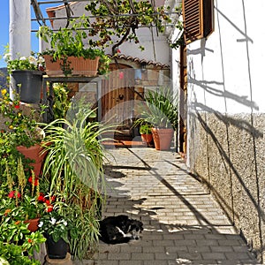 Street of Fataga, Gran Canaria, Spain