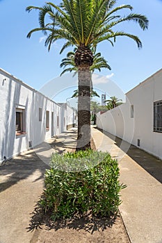 Street of the fishers village of Poble Nou del Delta with its typical white houses.