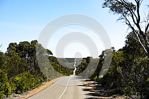 Street in Flinders Chase National Park, Kangaroo Island, Australia photo