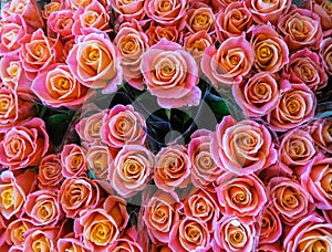 Street flower market. Bunches of bouquets of colored roses for sale