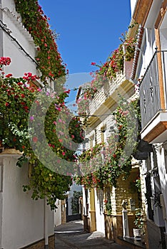 Street with flower pots in facades. Village in the Alpujarra